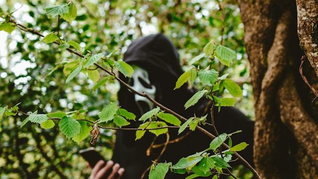 Photo by @helloimnik on unsplash