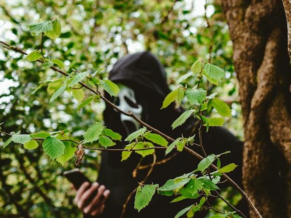 Photo by @helloimnik on unsplash