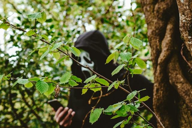 Photo by @helloimnik on unsplash